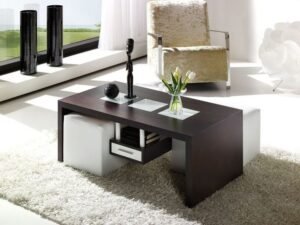Stylish Center Table with 2 Cushion Seating & a Mini Drawer